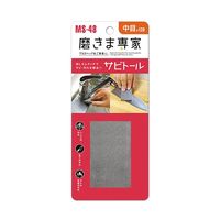 フチオカ 磨きま専家 サビトール 中目 MS-48 1個 63-5402-20（直送品）