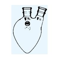 日本理化学器械 二頭ナシフラスコ 頭部15 側部10 10mL 4028-1510 1個 65-8663-41（直送品）