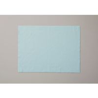 アズワン TECHNO WIPER(R) Sー151 MI 30×40cm 100枚入 65-5698-03 1箱(100枚)（直送品）