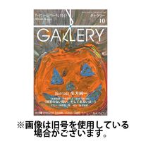 月刊ギャラリー 2025/02/01発売号から1年(12冊)(雑誌)（直送品）