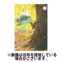 白鳩 2025/02/20発売号から1年(12冊)(雑誌)（直送品）