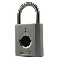 aCY WAKIiLj wF؃phbN IB-166 Vo[ 31mm 12241500 1