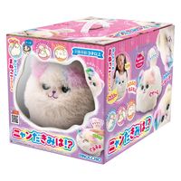 ねこ　すみっコぐらし 大阪 てのりぬいぐるみ San-X すみっコぐらし てのりぬいぐるみ ねこ : Cinderella