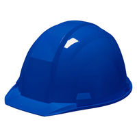DICプラスチック A-01型ヘルメットスカイブルーHA1内装KP付 A01-HA1E-KP-B 1個