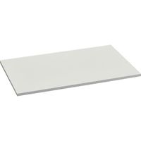 トラスコ中山 TRUSCO FS型工場用保管庫 ケント式扉下置き用追加棚板 W747XD588XH20mm FS-BT 1枚（直送品）