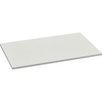 トラスコ中山 TRUSCO FS型工場用保管庫 下置き(両開き・オープン型)用追加棚板 W860XD588XH20mm FS-CT 1枚（直送品）