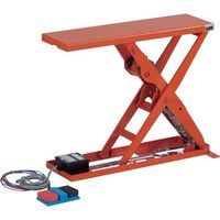 gXRR TRUSCO Xtg100kg d{[˂ 900X200 DC24V HLEBA-10-2009-D2 1iij
