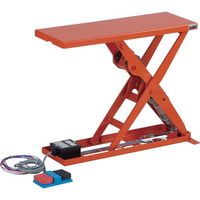 トラスコ中山 TRUSCO スリムリフト100kg 電動ボールねじ式 900X250 DC24V HLEBA-10-2509-D2 1台（直送品）