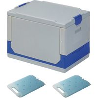 ワコン クールワン折りたたみ保冷ボックス(GY)冷蔵保冷剤2個付セット COG-10-TCUT0X2SET 1セット 460-8582（直送品）