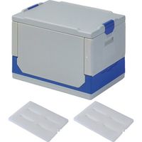 クールワン折りたたみ保冷ボックス(GY)冷凍保冷剤2個付(500G)セット COG-10-KCUL1505(500G)X2SET 1セット（直送品）