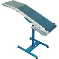 寺内製作所 TS 軽荷重用ベルトコンベヤ スイングタイプ BCWー100WX2000L+500LーA90 1台 483-3833（直送品）