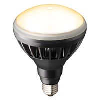 岩崎電気 LEDioc LEDアイランプ 11W<E26> LDR11