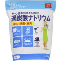 丹羽久 住まいの魔法のパウダー 過炭酸ナトリウム 4kg 410383 1セット(4個) 684-1915（直送品）