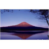 パール ザヴィーナミニマックス 富士シリーズ 湖面富士パノラマ 18602 1セット(5枚) 684-4426（直送品）