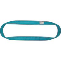 テザック TESAC ブルースリング(JIS4等級・エンドレス形)荷重20.0t 全長5.0m 4N250X5 1本 653-6655（直送品）