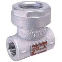 テイエルブイ TLV サイトグラス TF8N-10KFF-FC250 （フランジ）