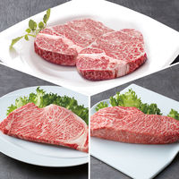 サニーフーズ 米沢牛“秀屋”(5等級)ステーキ肉詰合せ SX-249 1セット（直送品）