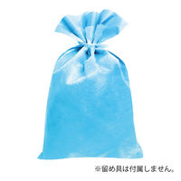 エスパック ソフトギフトバッグ M ブルー 50枚入 SG-PKM-AS 1袋(50枚)（直送品）