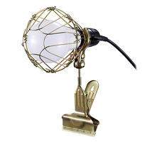 アイリスオーヤマ LEDクリップライト屋内用 ILW-GC4