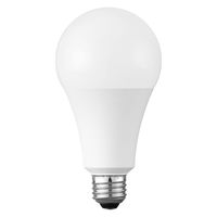 岩崎電気 岩崎 LEDアイランプ ビーム電球形11W 光色:昼白色