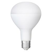 日動工業 LED一体型パイプライト LPL-20H 1本（直送品） - アスクル