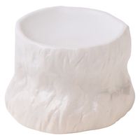 ヤマコー 岩石 古樹