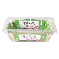 ストリックスデザイン おかずケース 角大 1個（19 枚入）