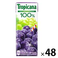 キリンビバレッジ トロピカーナ 100％グレープ 250ml 紙パック 1セット（48本）
