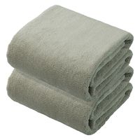 シービージャパン カラリデイ ヘアドライタオル2枚組 グレー 4573306866978 1枚