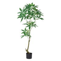 アスカ商会 パキラ(ポット付) A-51065-051A 1個（直送品）