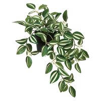 アスカ商会 ワンダリングジュー(ポット付) A-51092-051V 1個（直送品）