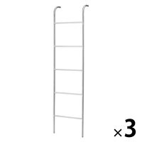 天馬 ポーリッシュ インテリア物干し ラダー PSI-08 1セット（3個）