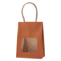 パックタケヤマ ウィンドウミニバッグ タンジェリン XZT65211 1セット（100枚：25枚入×4袋）