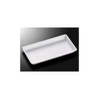 中央化学 トレーC・FSーL4E(LL)1200枚 1404 1ケース(1200枚) 65-9839-11（直送品）