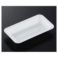 中央化学 トレーCN20ー11F(L)2400枚 387985 1ケース(2400枚) 65-9854-07（直送品）