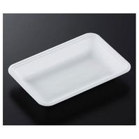 中央化学 トレーCN20ー13F(L)2100枚 388629 1ケース(2100枚) 65-9854-08（直送品）