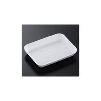 中央化学 トレーCー 49(50)2400枚 53371 1ケース(2400枚) 65-9857-06（直送品）