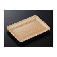 中央化学 トレーCN25ー18EE 木曽内(L)1000枚 237180 1ケース(1000枚) 65-9860-25（直送品）