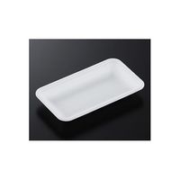 中央化学 トレーCN20ー11E(L)100枚入 177204 1袋(100枚) 65-9873-17（直送品）