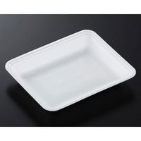 中央化学 トレーCN20ー16F(L)1600枚 177246 1ケース(1600枚) 65-9857-89（直送品）