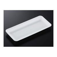 中央化学 トレーCN30ー14E(L)1400枚 177568 1ケース(1400枚) 65-9855-81（直送品）