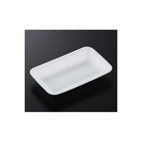 中央化学 トレーCN20ー12F(L)2400枚 178244 1ケース(2400枚) 65-9855-30（直送品）