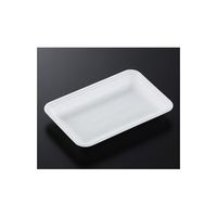 中央化学 トレーCN20ー13E(L)2100枚 178293 1ケース(2100枚) 65-9855-66（直送品）