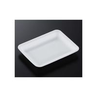 中央化学 トレーCN20ー15E(L)1800枚 178350 1ケース(1800枚) 65-9855-69（直送品）