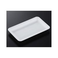 中央化学 トレーCN25ー15E(L)1200枚 178772 1ケース(1200枚) 65-9855-77（直送品）