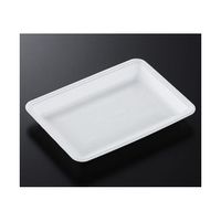 中央化学 トレーCN25ー18FF(L)1000枚 178830 1ケース(1000枚) 65-9855-35（直送品）