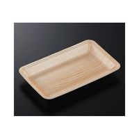 中央化学 トレーCN25ー15F 木曽内(L)1200枚 235713 1ケース(1200枚) 65-9857-21（直送品）