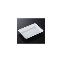 中央化学 トレーCN25ー18GG(50)L 900枚 237495 1ケース(900枚) 65-9857-18（直送品）