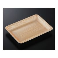 中央化学 トレーCN25ー18FF 木曽内(L)1000枚 237388 1ケース(1000枚) 65-9856-83（直送品）