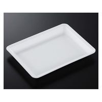 中央化学 トレーCN28ー21FF(L)800枚 237560 1ケース(800枚) 65-9857-15（直送品）